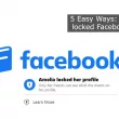 How to view locked Facebook profiles