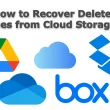 How to Recover Deleted Files from Cloud Storage