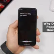 Why Does Siri Keep Popping Up and How to Stop it?