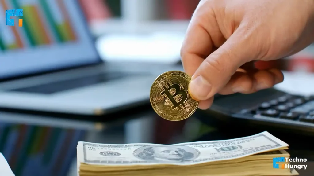 Cryptocurrency Market Collapses