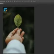 Adobe is Testing Free Web Version of Photoshop
