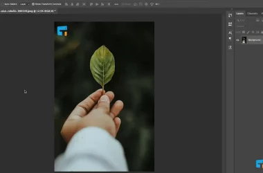 Adobe is Testing Free Web Version of Photoshop