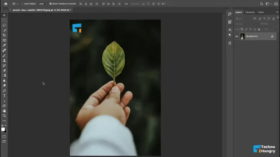 Adobe is Testing Free Web Version of Photoshop