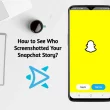 How to See Who Screenshotted Your Snapchat Story?