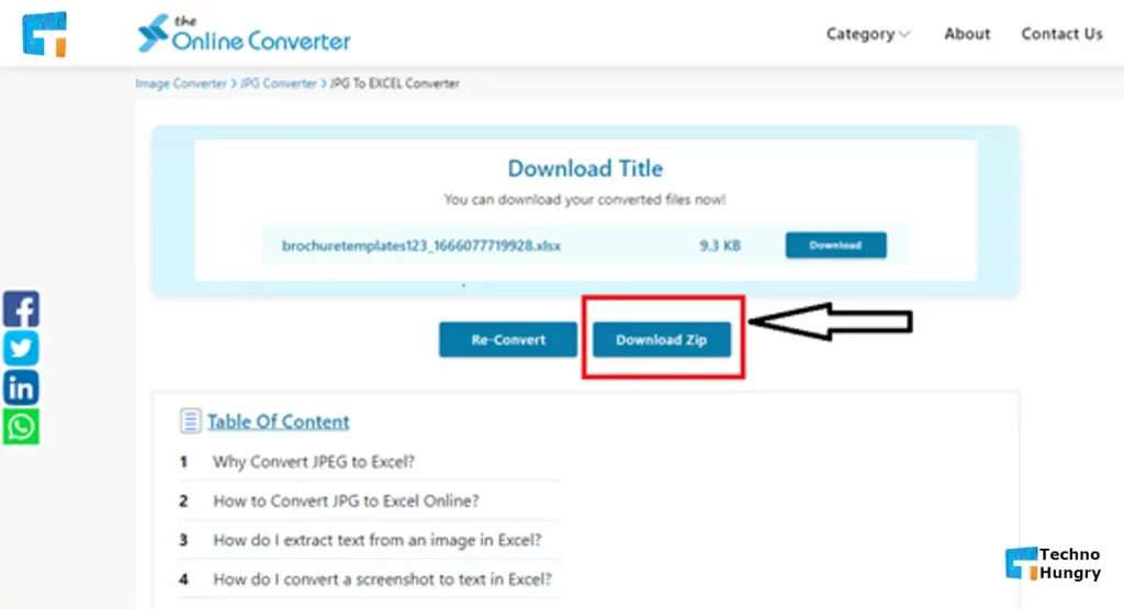 converted Excel xlsx